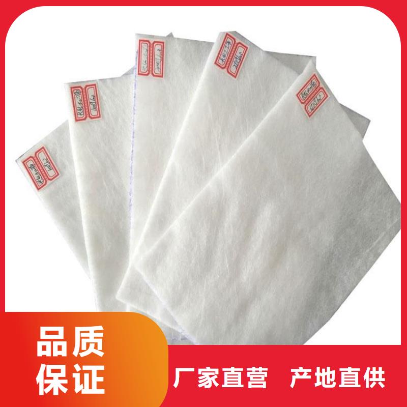 土工布防水毯源头厂家供应品质信得过
