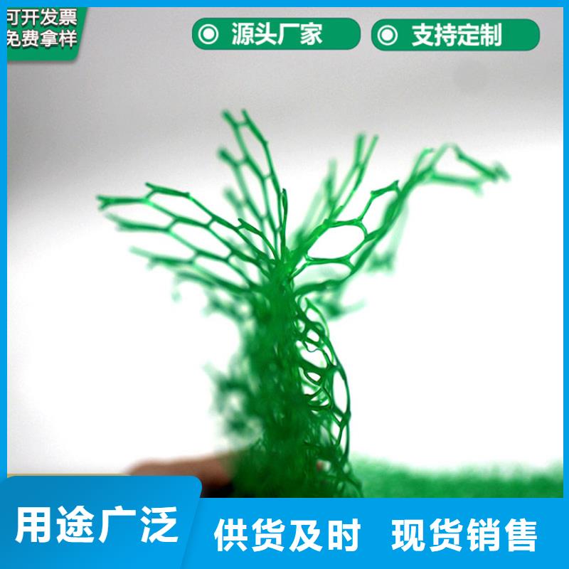 【三维植被网】复合土工膜经验丰富质量放心当地货源