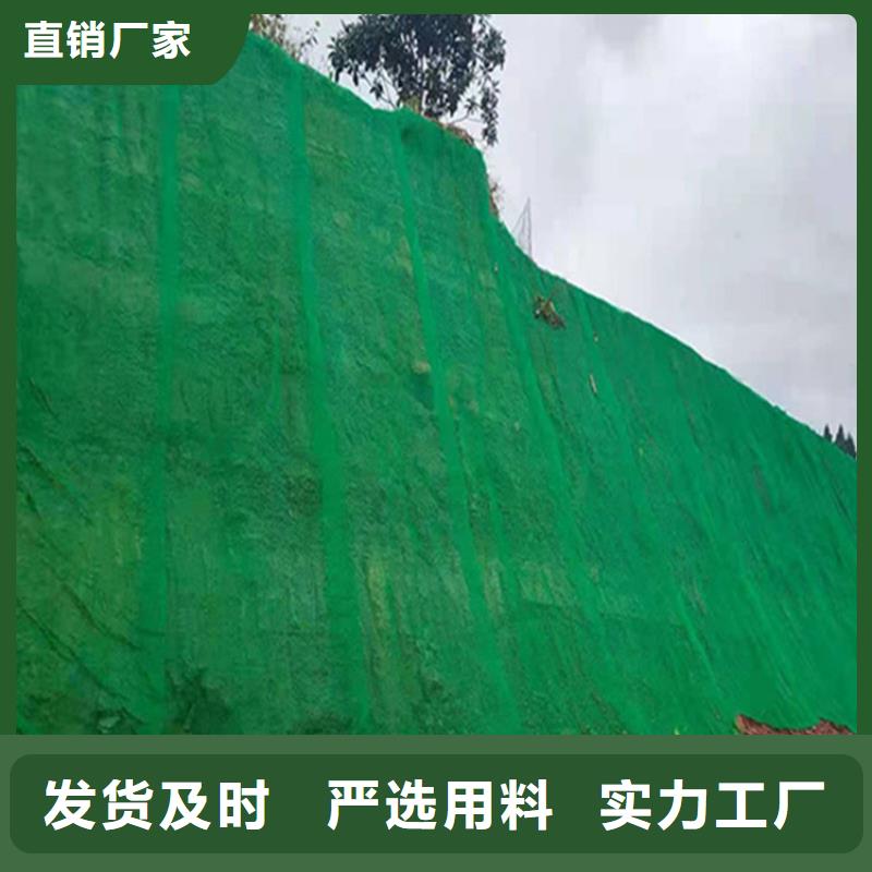 三维植被网【植草格】服务至上{本地}经销商