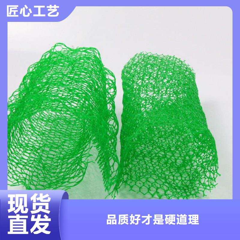 三维植被网硬式透水管用心做产品[本地]品牌