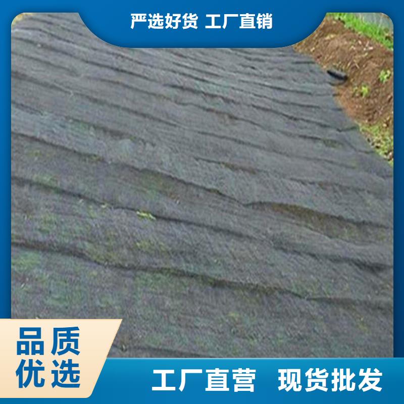 水土保护毯【抗裂贴】快速发货当地品牌