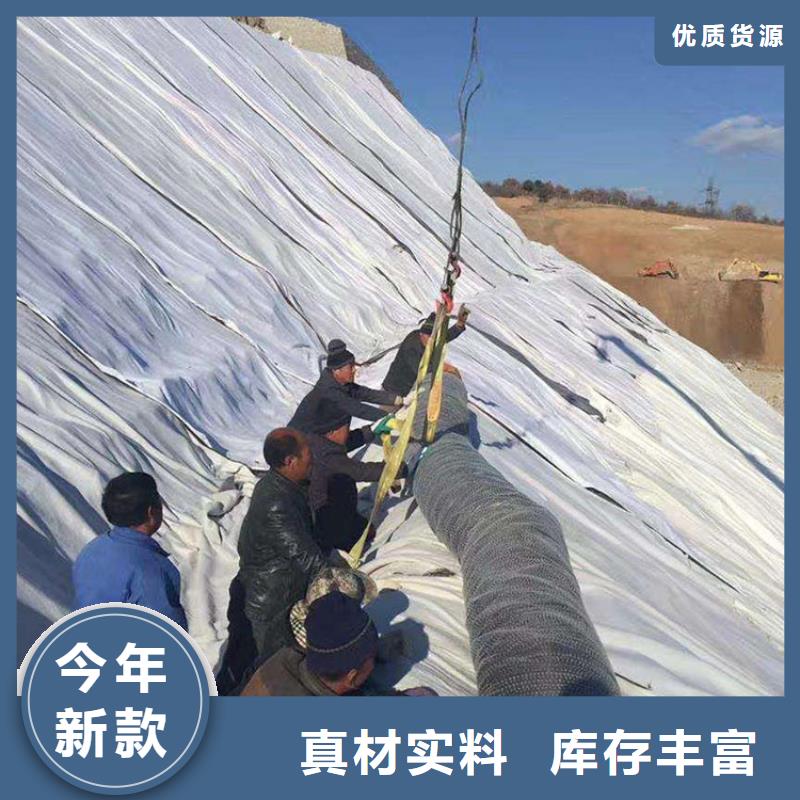 膨润土防水毯【HDPE土工膜】我们更专业当地供应商