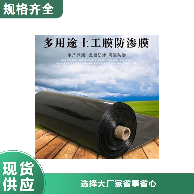 土工膜植草格实体诚信经营同城制造商