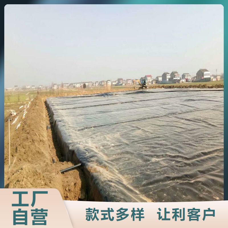 土工膜双向土工格栅厂诚信经营实力雄厚品质保障
