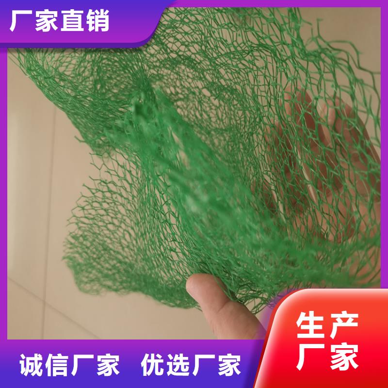 三维植被网软式透水管质优价廉{本地}生产商