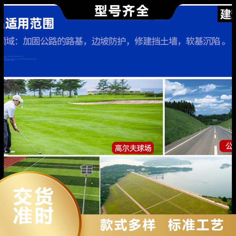 【三维植被网聚丙烯纤维规格型号全】价格公道合理