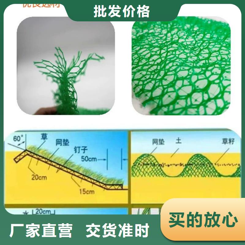 【三维植被网】止水铜片厂家产品实拍【当地】生产厂家