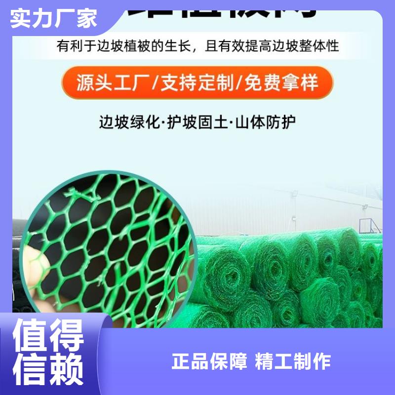 【三维植被网-止水铜片拒绝差价】品种全