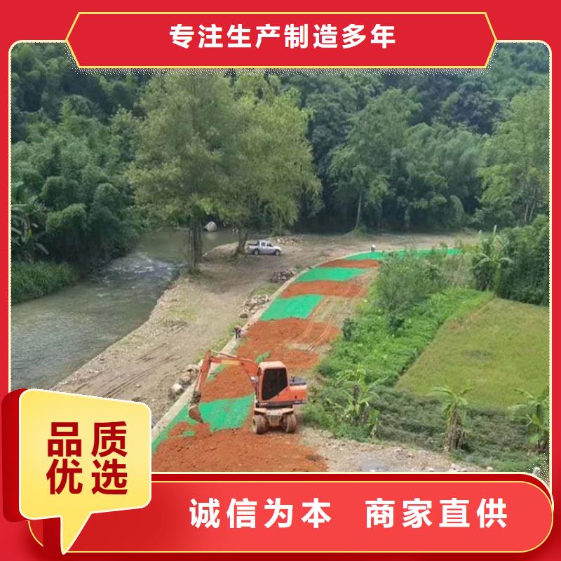 【三维植被网】止水铜片厂家好货采购当地品牌