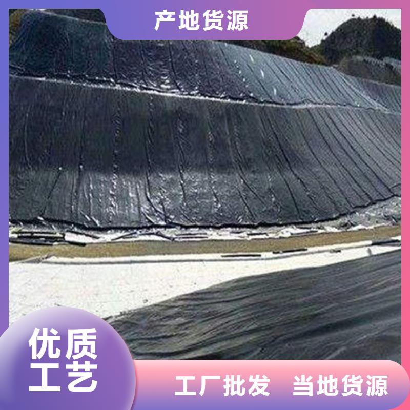 土工膜双向塑料土工格栅大库存无缺货危机当地制造商