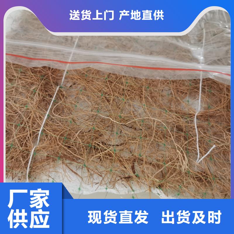 椰丝毯三维植被网优选厂家同城货源