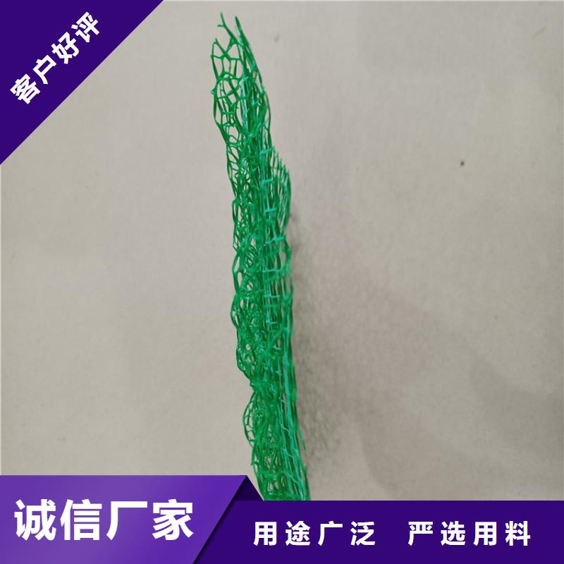 三维植被网排水板品种全<当地>公司