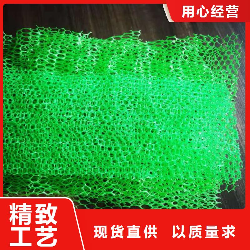 三维植被网土工格室厂家大量现货批发商