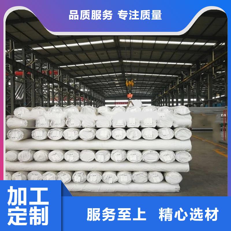 【防水板】防渗膜自有生产工厂一站式厂家
