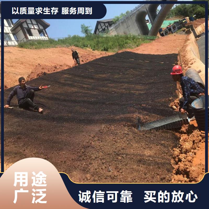 水土保护毯-双向塑料土工格栅甄选好厂家【本地】厂家