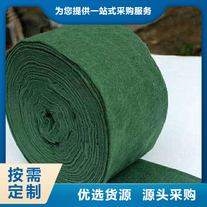 裹树布,土工膜专业供货品质管控多种规格库存充足
