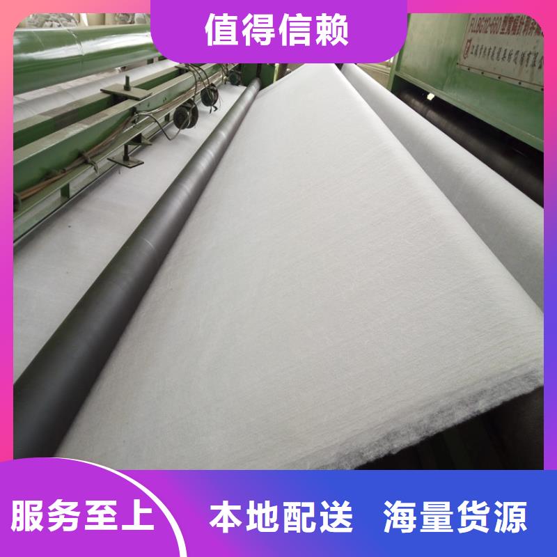 土工布土工格栅生产经验丰富本地品牌
