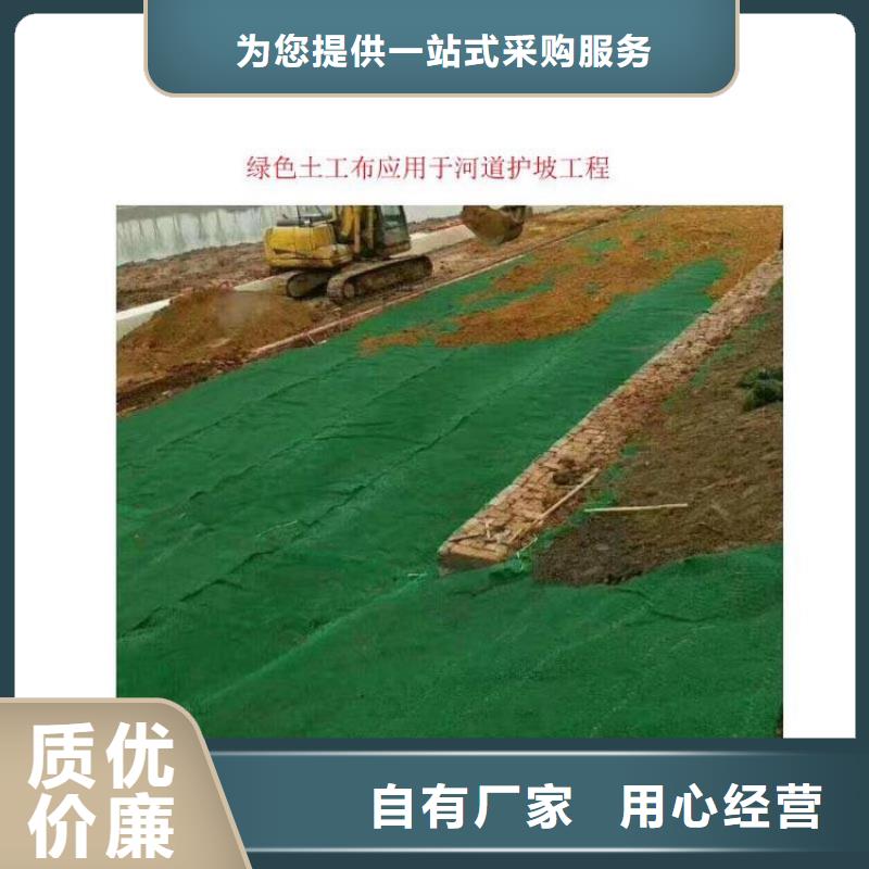 土工布网格布自有生产工厂现货直供