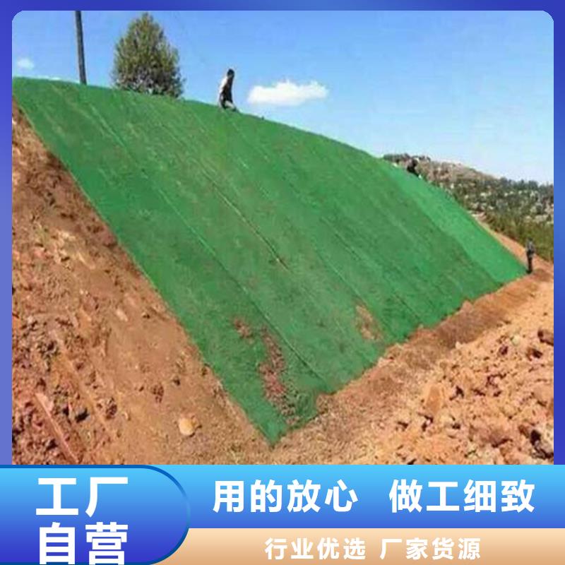 三维植被网拉筋带海量现货直销【本地】厂家