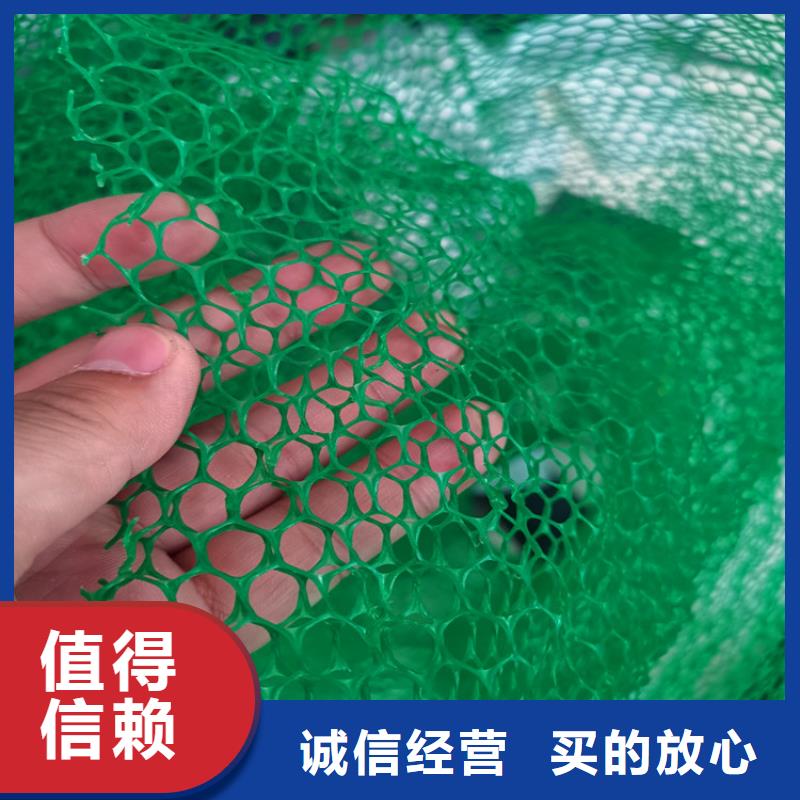 三维植被网土工格栅现货供应专业完善售后