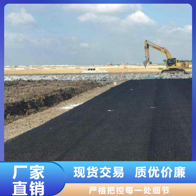 水土保护毯,钢塑土工格栅订制批发【本地】生产商