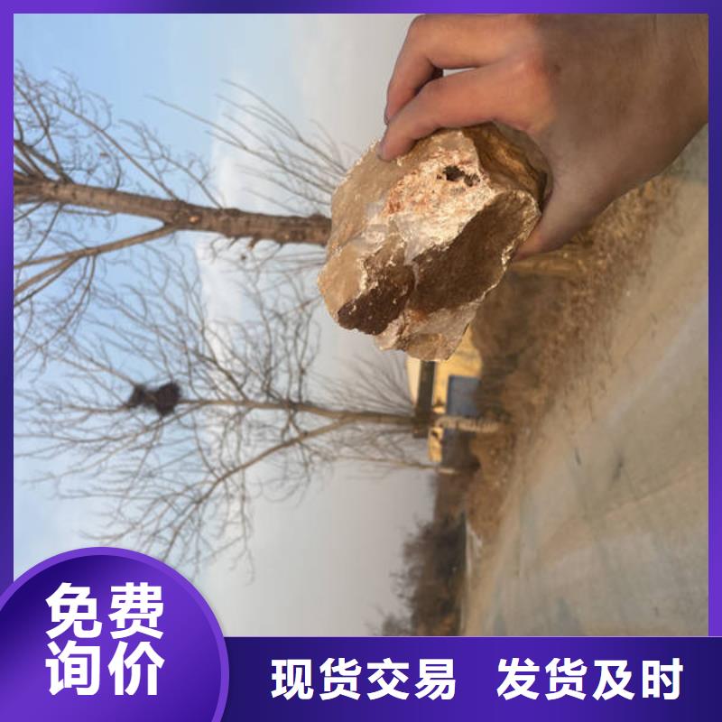 石英砂_聚丙烯酰胺使用寿命长久本地服务商
