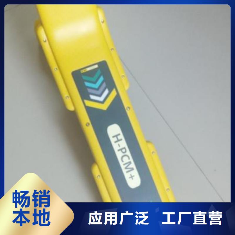 八次脉冲电缆故障测试仪随心所欲定制