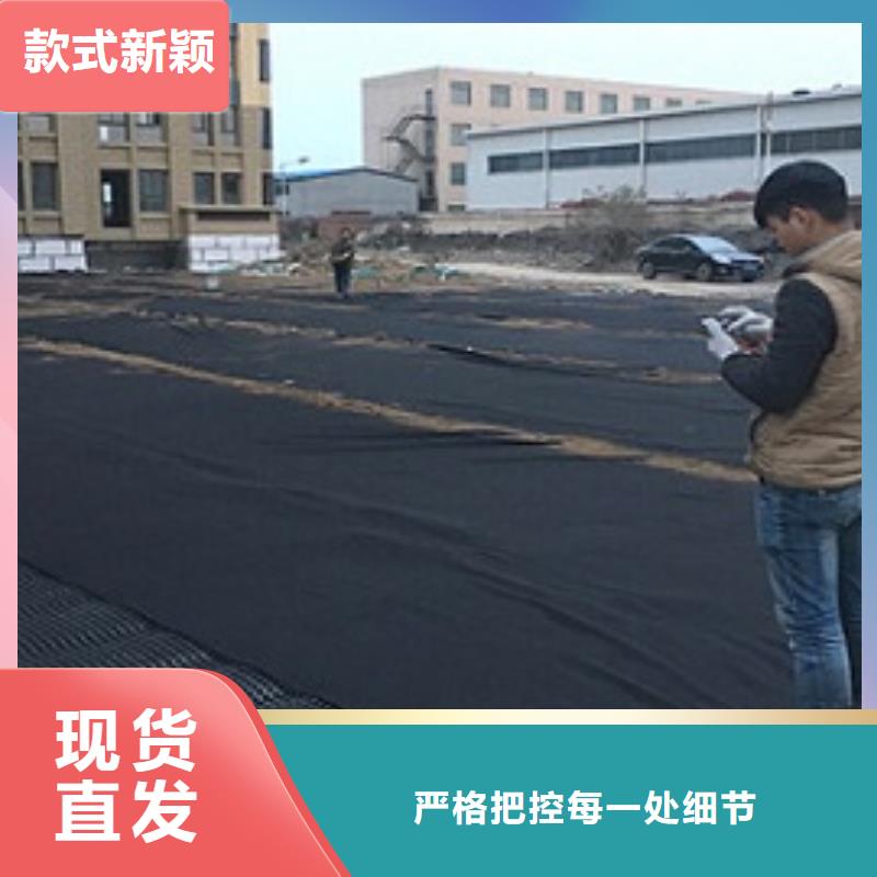 排水板_滤水板精选优质材料【当地】生产厂家