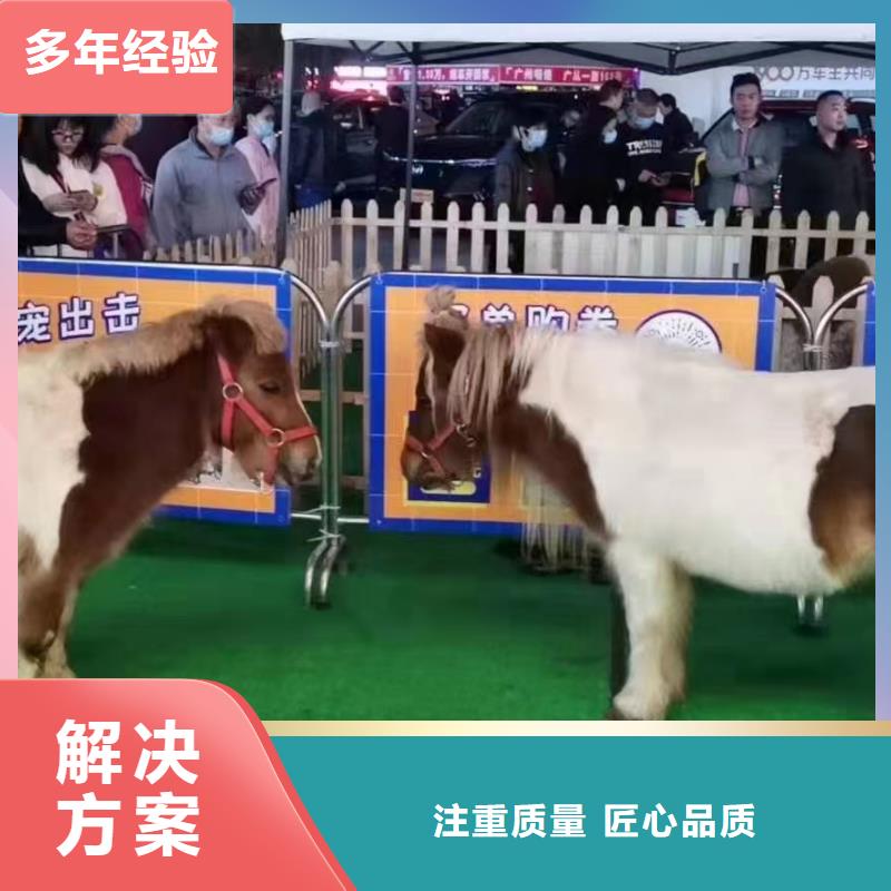 马戏团/羊驼-鹦鹉表演服务至上信誉保证