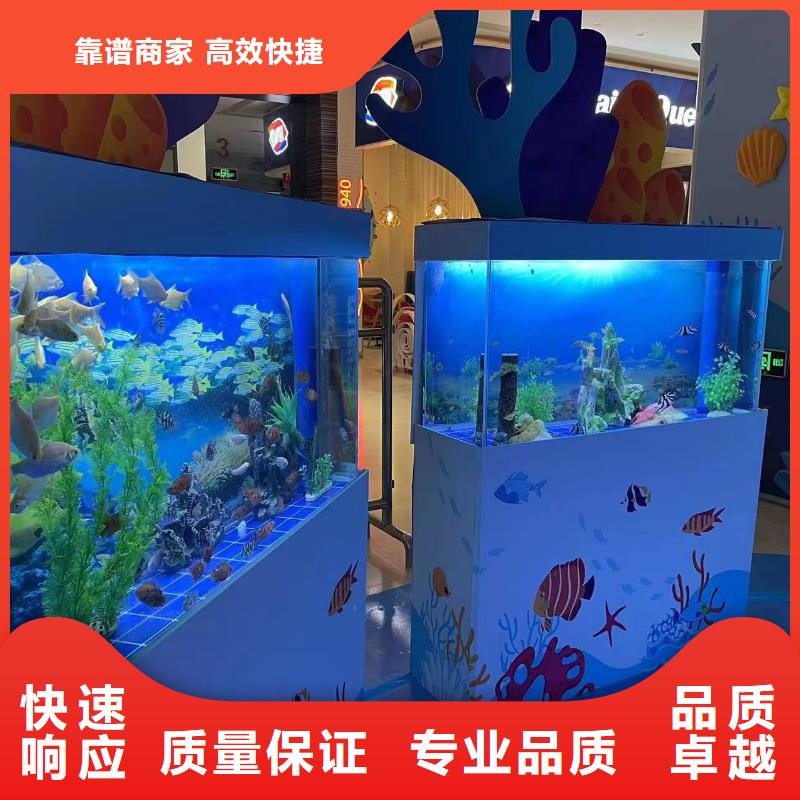 海洋主题动物表演美人鱼表演出租注重质量专业承接