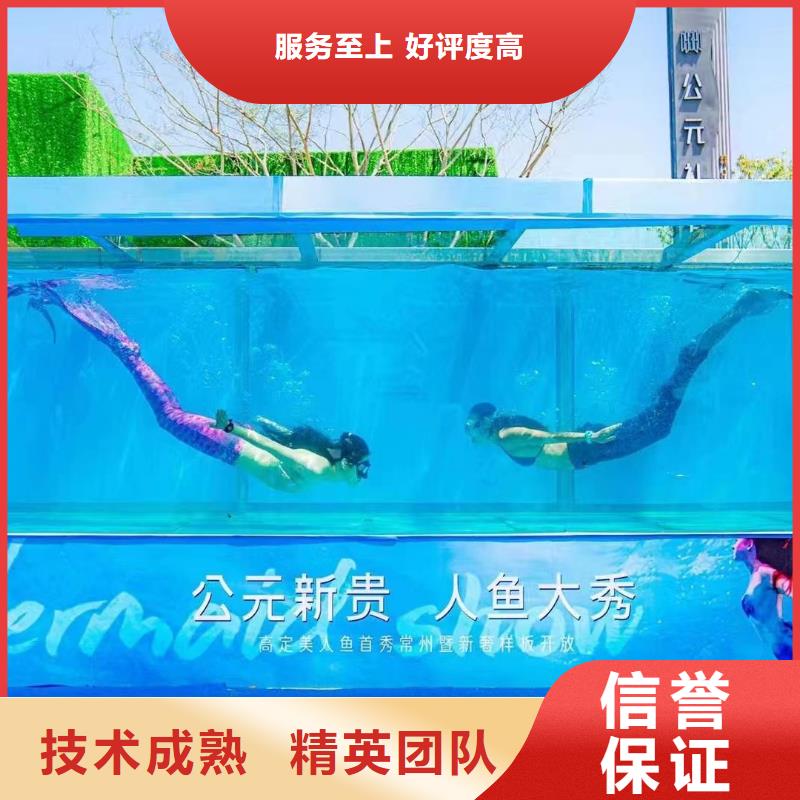 海洋主题动物表演_【活体羊驼租赁】欢迎询价口碑商家