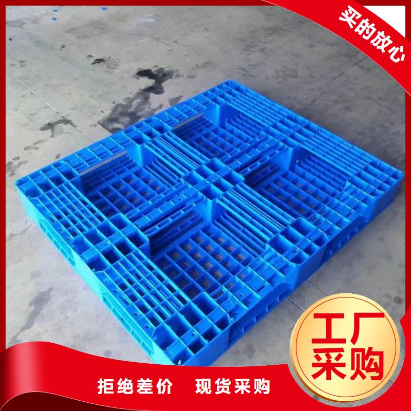 塑料托盘环保塑料拍子品质商家同城供应商