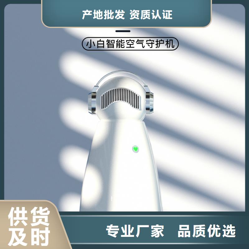 空气净化器,小白空气守护机生产货源充足敢与同行比服务