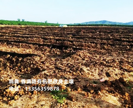 中山市五桂山街道纯干鸡粪增强土壤肥力