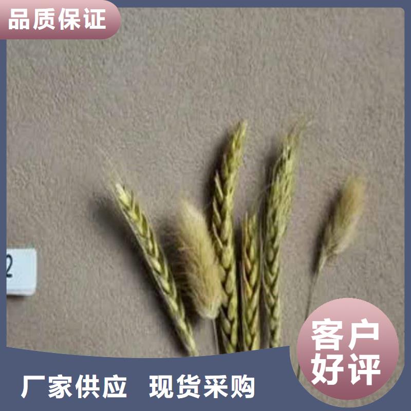 【灰泥】稻草漆厂家直销用心制作工期短发货快