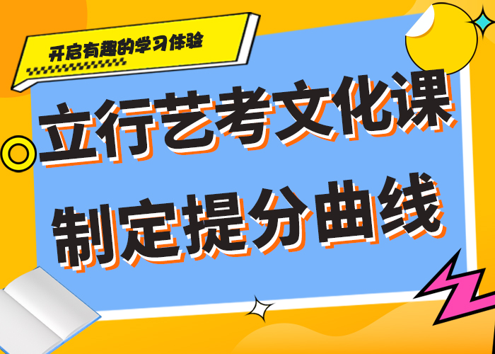 【艺考生文化课】高考冲刺全年制老师专业指导就业