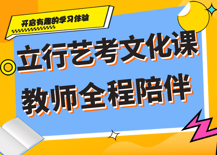 艺考生文化课辅导有什么选择标准吗