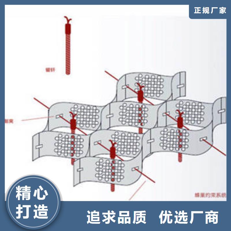 【蜂巢格室塑料盲沟快速物流发货】诚信为本