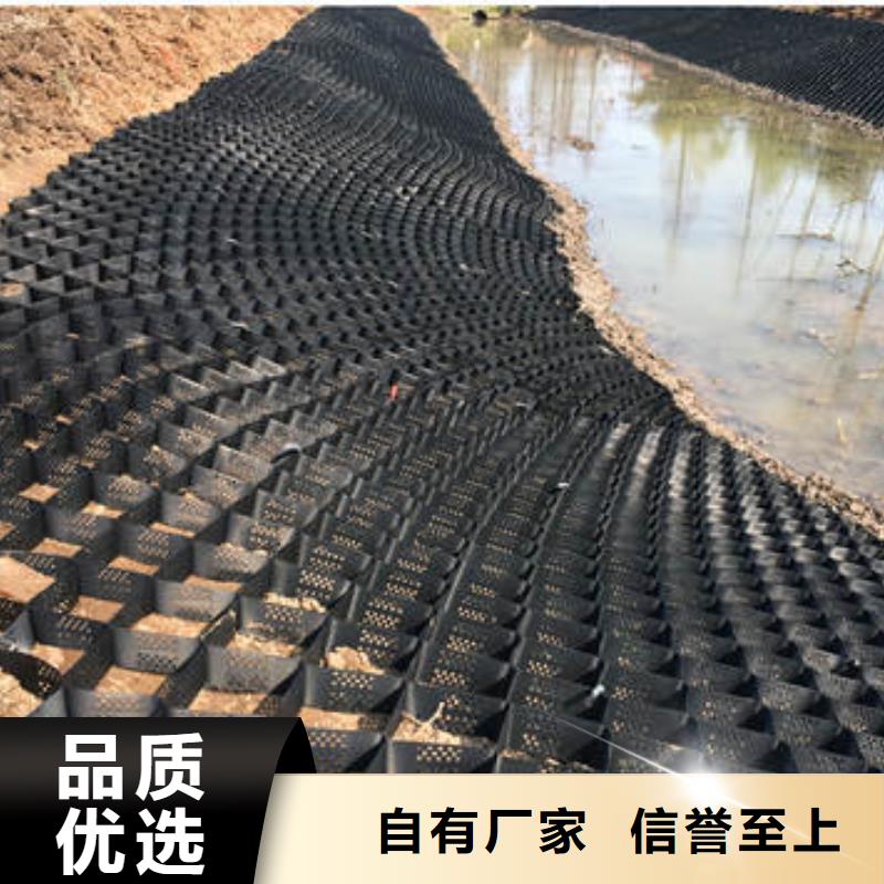蜂巢格室,拉筋带厂家直销售后完善质量好
