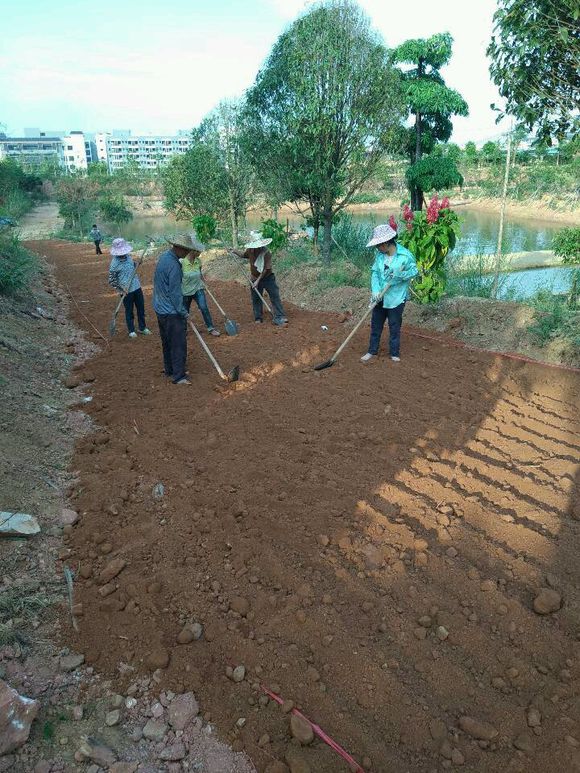 土壤固化道路基础沙土固化剂规格