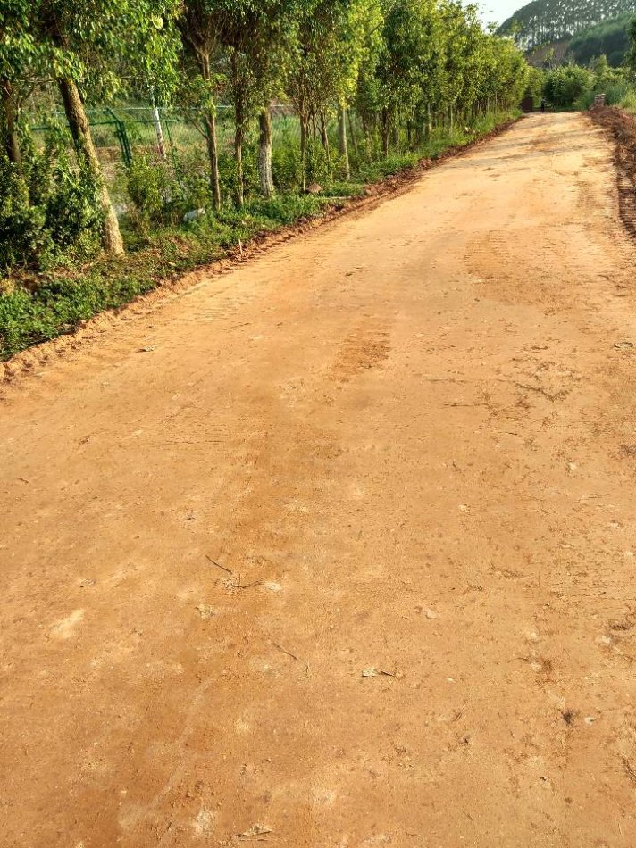 平整土地土壤固化淤泥固化剂发货及时