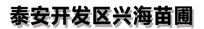 兴海苗木种植合作社