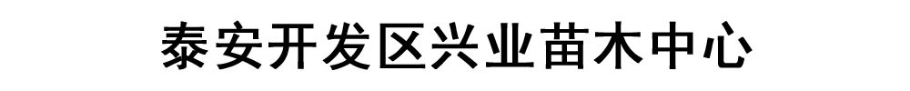 兴业苗木中心